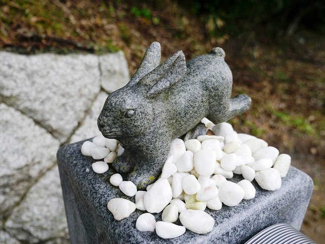 白兔神社的戀愛成就助攻！_img_10